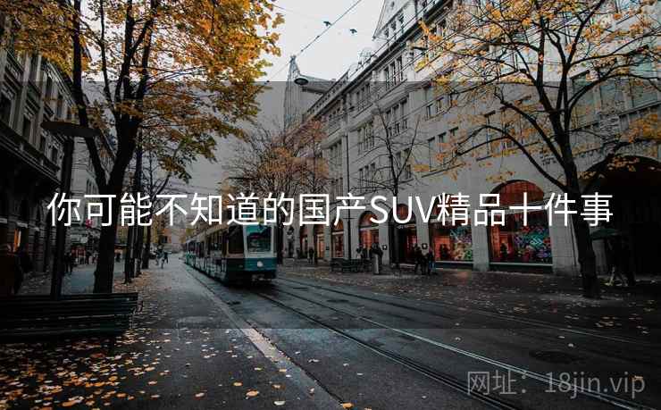 你可能不知道的国产SUV精品十件事