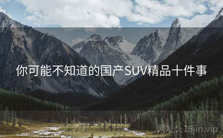你可能不知道的国产SUV精品十件事